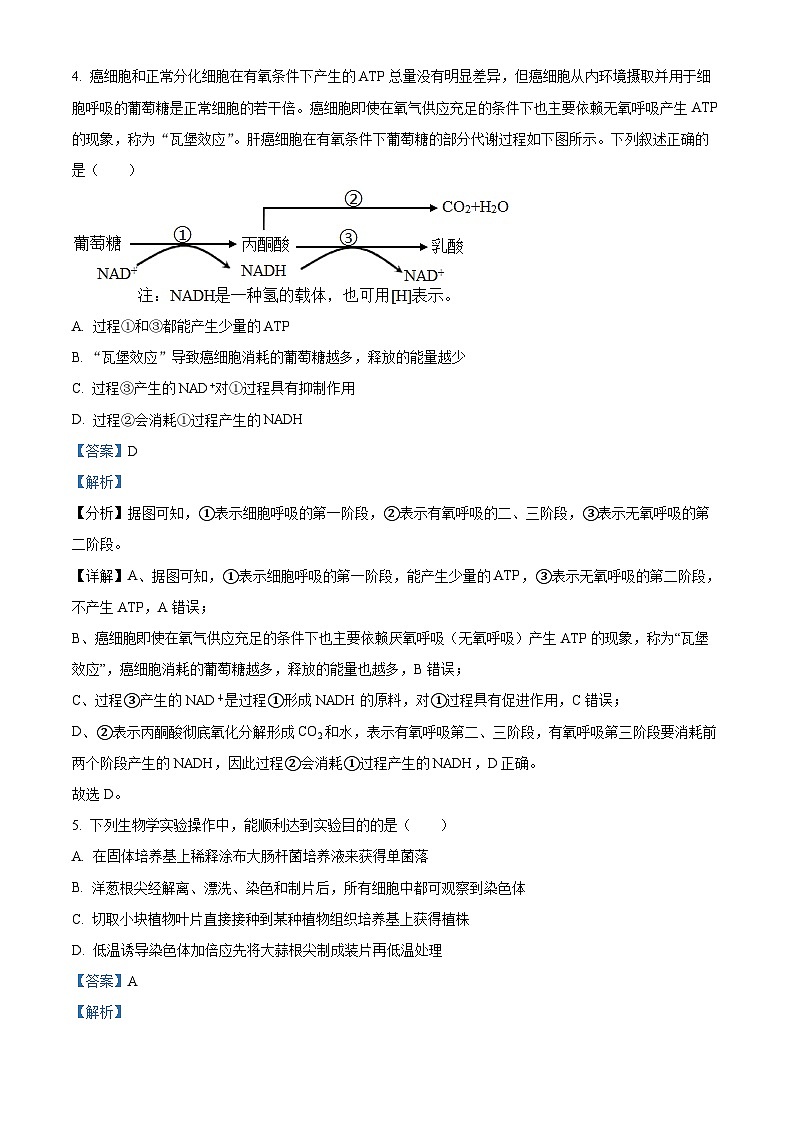 辽宁省实验中学2022-2023学年高三生物第四次模拟考试试题（Word版附解析）第3页