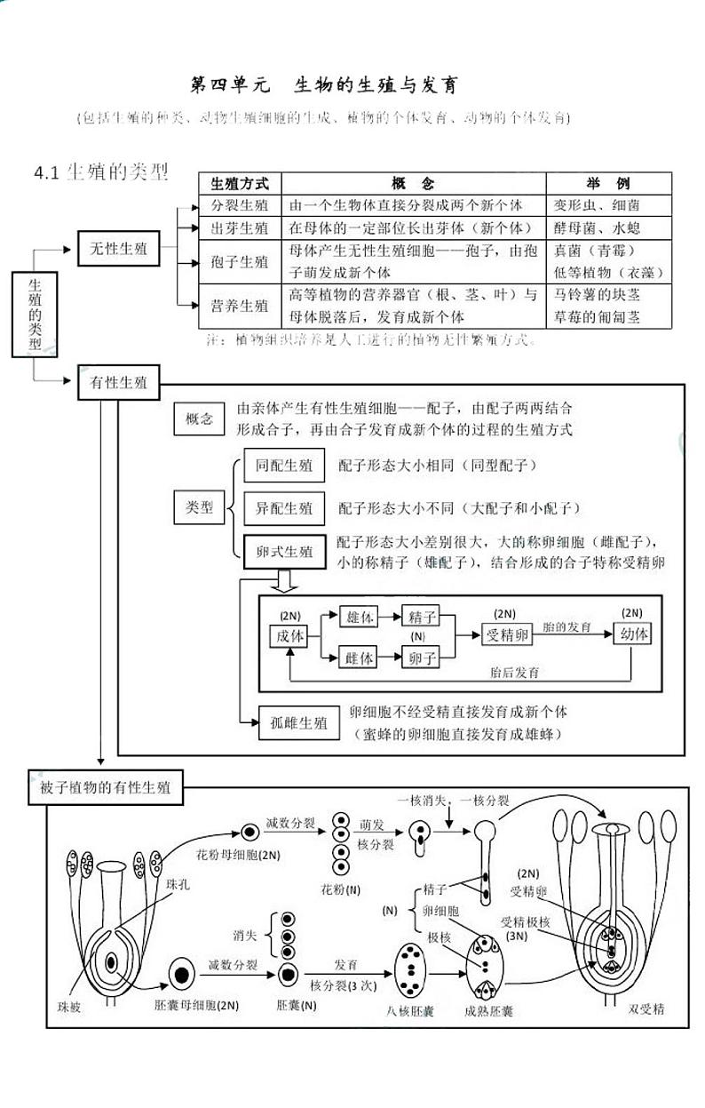 高考生物：生物的生殖与发育知识结构网络（四） 学案01