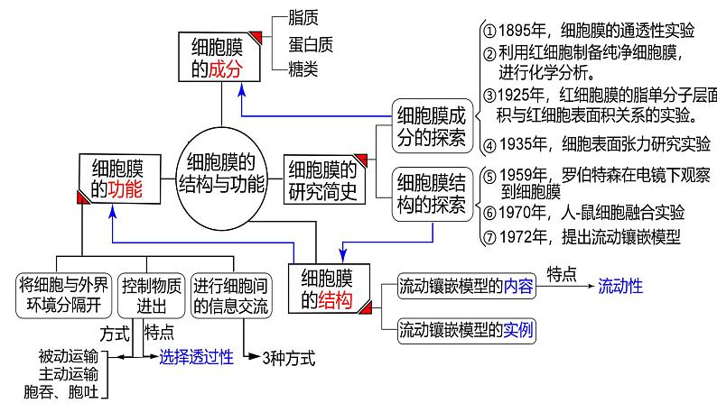 2023届高三生物课件细胞膜的结构和功能第2页