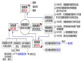 2023届高三生物课件细胞膜的结构和功能