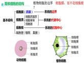 2023届高三生物课件细胞膜的结构和功能