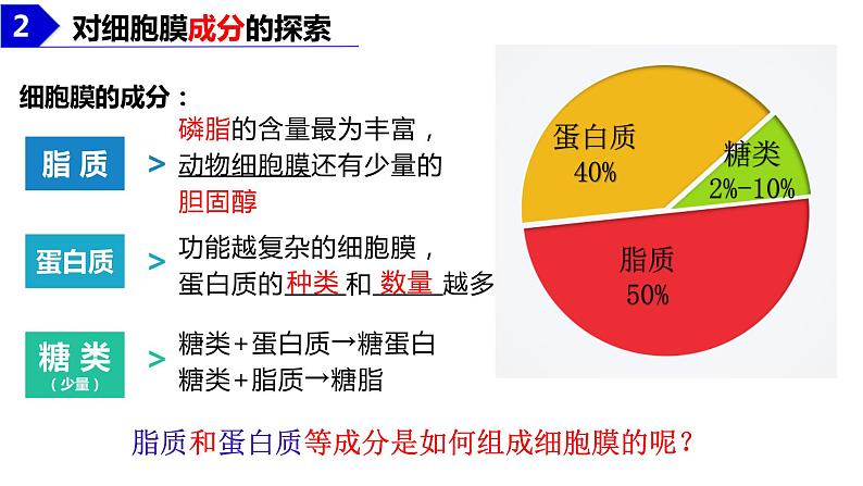 2023届高三生物课件细胞膜的结构和功能第7页