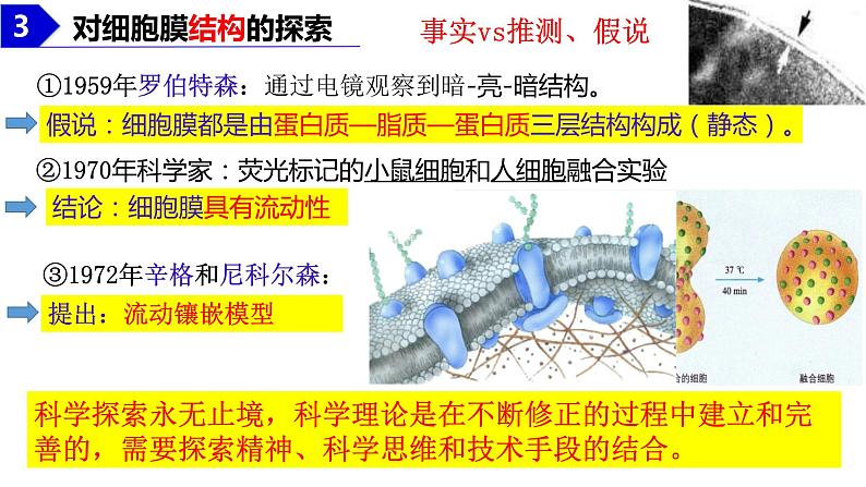 2023届高三生物课件细胞膜的结构和功能第8页