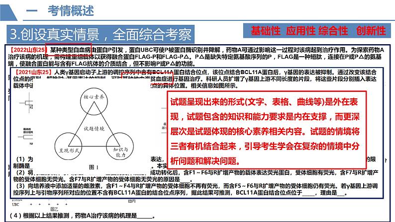 2022届山东省高考生物技术与工程 (2)课件第8页