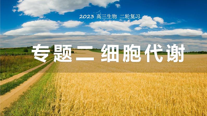 2023届高三复习生物： 细胞代谢课件第1页