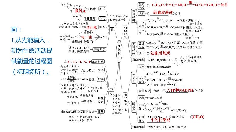 2023届高三复习生物： 细胞代谢课件第2页