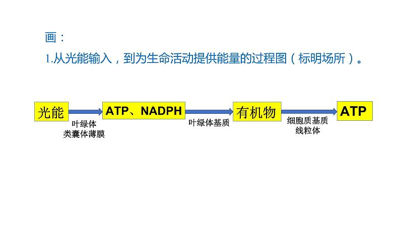 2023届高三复习生物： 细胞代谢课件第3页