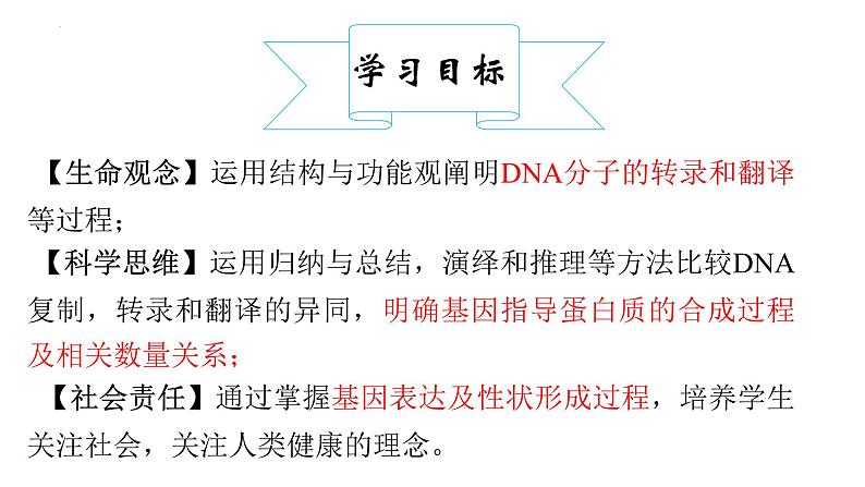 2023届高三复习生物：第四章基因的表达复习课件第5页