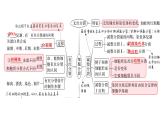 2023届高三复习生物：细胞的生命历程课件