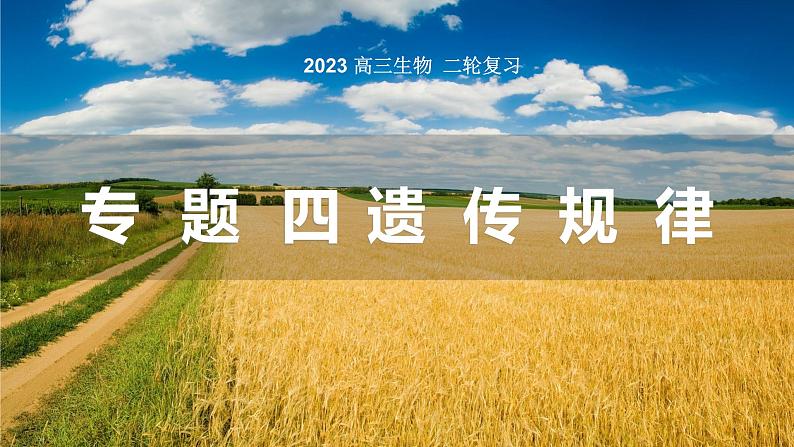 2023届高三复习生物：遗传规律课件第1页