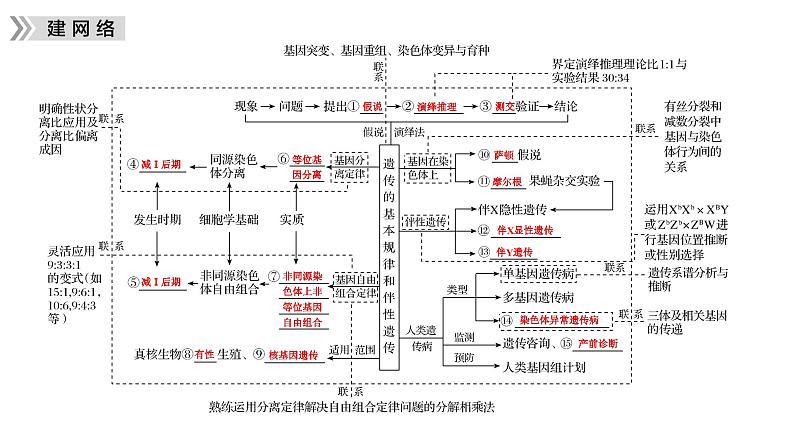 2023届高三复习生物：遗传规律课件第2页