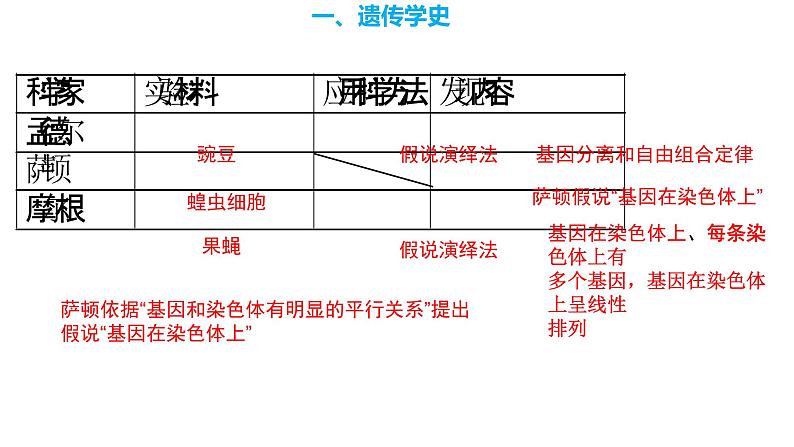 2023届高三复习生物：遗传规律课件第5页