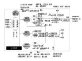 2023届高三生物复习课件02 细胞骨架 细胞的基本结构物质的输入和输出