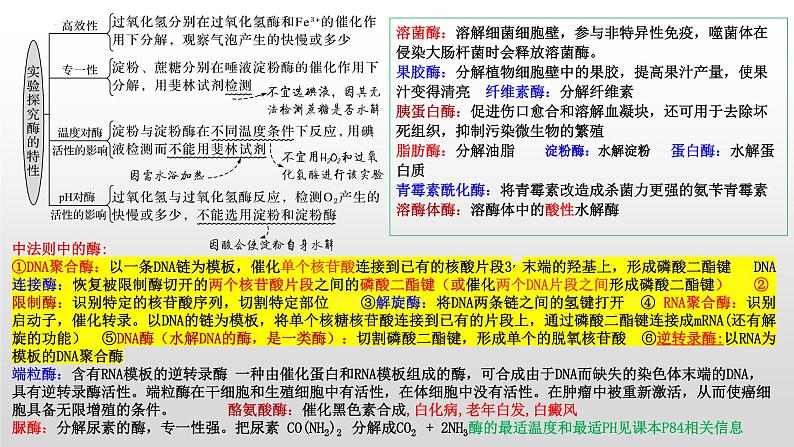 2023届高三生物复习课件03. 细胞代谢第4页