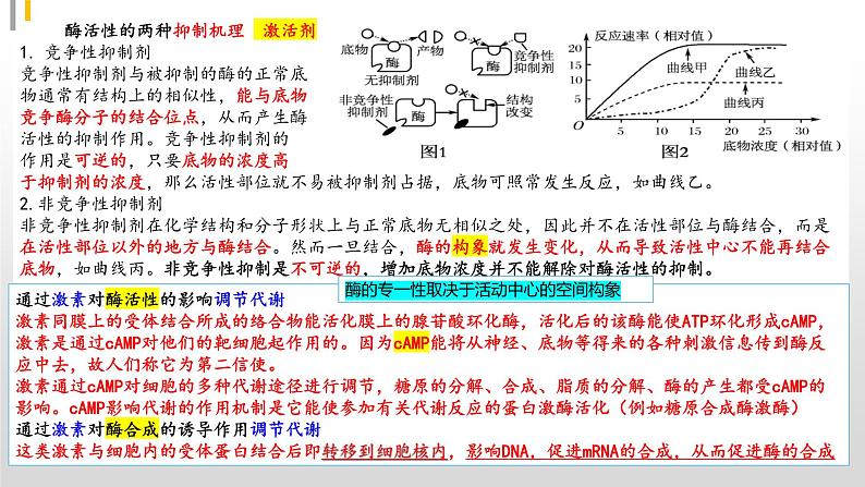 2023届高三生物复习课件03. 细胞代谢第6页