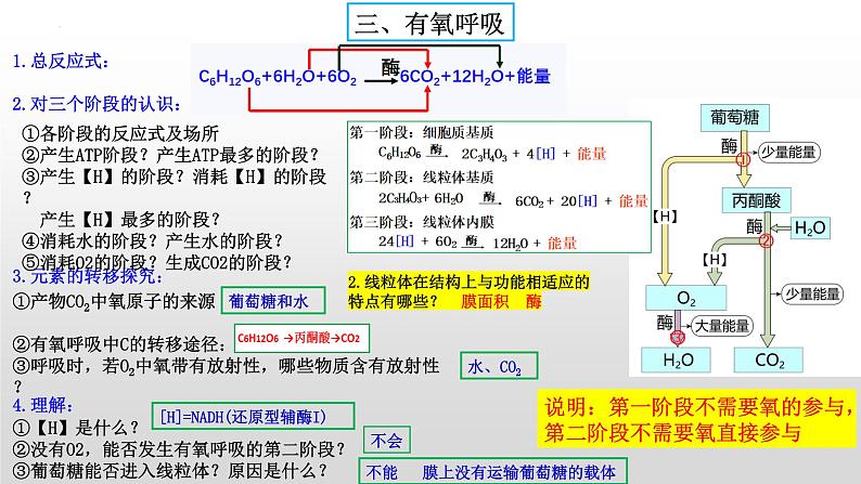 2023届高三生物复习课件03. 细胞代谢第7页