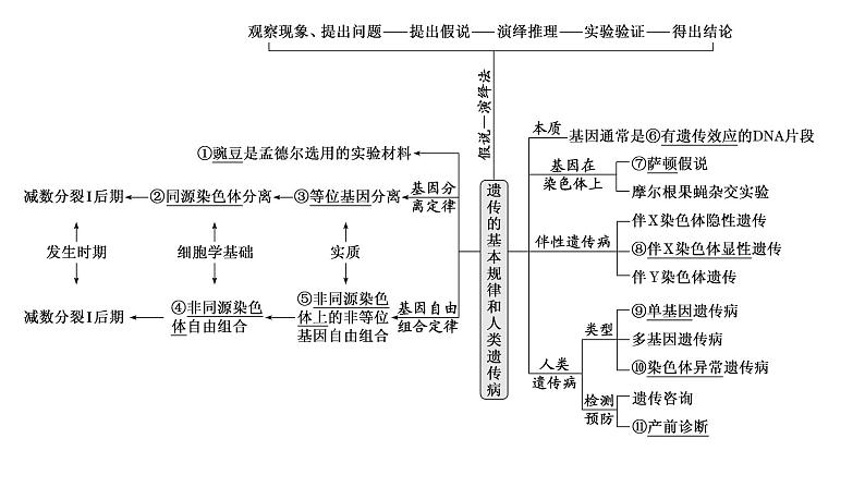 2023届高三生物复习课件05遗传规律与伴性遗传第1页