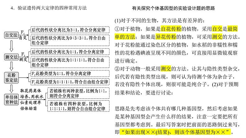 2023届高三生物复习课件05遗传规律与伴性遗传第3页