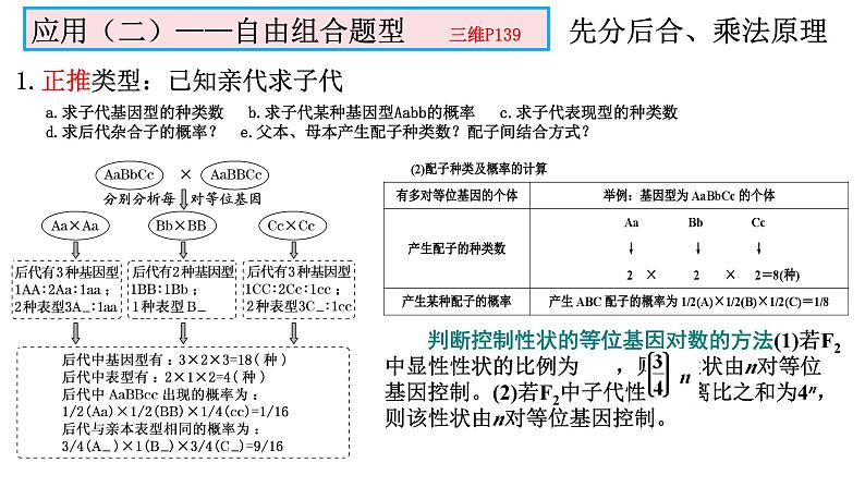 2023届高三生物复习课件05遗传规律与伴性遗传第5页