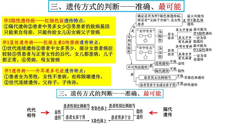 2023届高三生物复习课件05遗传规律与伴性遗传第8页