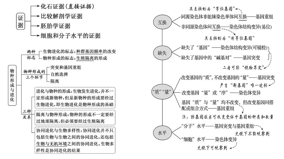 2023届高三生物复习课件07变异与进化 1第3页
