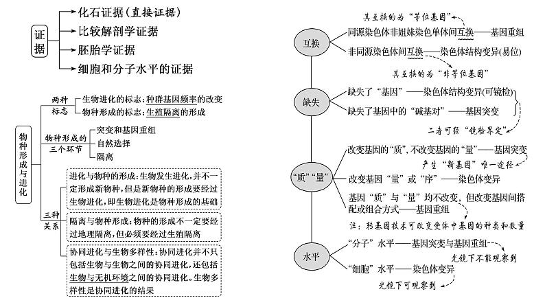 2023届高三生物复习课件07变异与进化 1第3页