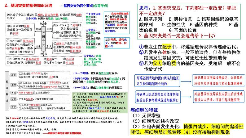 2023届高三生物复习课件07变异与进化 1第4页