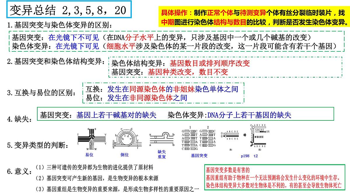 2023届高三生物复习课件07变异与进化 1第6页