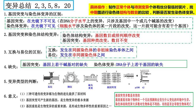 2023届高三生物复习课件07变异与进化 1第6页