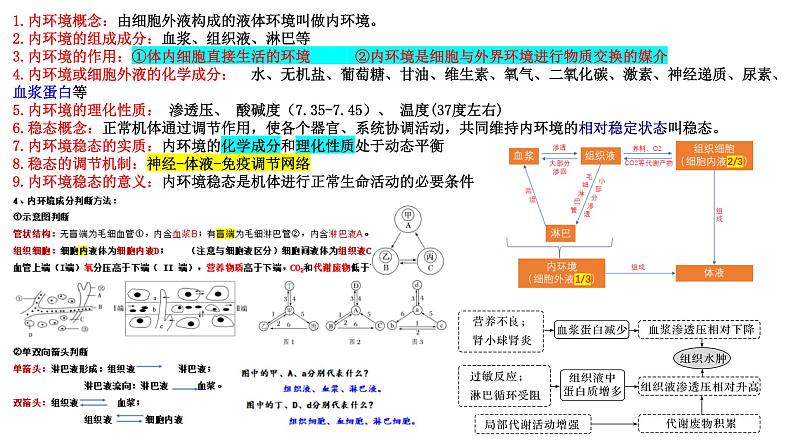 2023届高三生物复习课件08.内环境与稳态 + 神经调节 1第4页