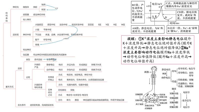 2023届高三生物复习课件08.内环境与稳态 + 神经调节 1第6页