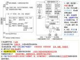 2023届高三生物复习课件09体液调节、免疫调节