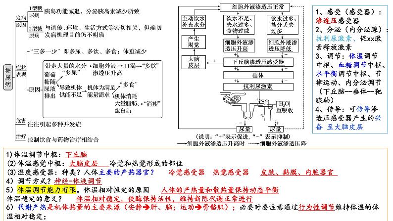 2023届高三生物复习课件09体液调节、免疫调节05