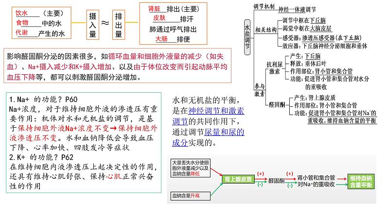 2023届高三生物复习课件09体液调节、免疫调节06