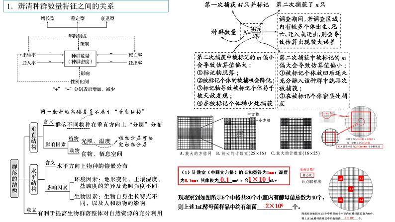 2023届高三生物复习课件12.种群、群落、生态系统1102