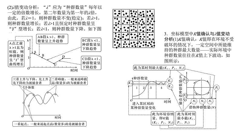 2023届高三生物复习课件12.种群、群落、生态系统1103