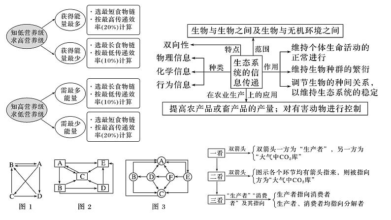 2023届高三生物复习课件12.种群、群落、生态系统1106