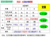 2023届高三生物复习 实验设计 课件PPT