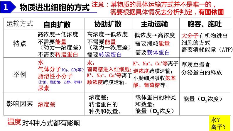 2023届高三生物复习 物质出入细胞的方式及影响因素 课件PPT第4页