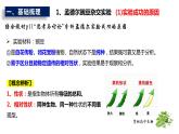 2023届高三生物复习基因的分离定律课件PPT