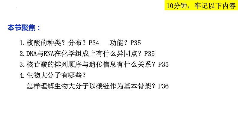 2023届高三生物复习课件 核酸是遗传信息的携带者第2页