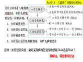 2023届高三生物复习课件 核酸是遗传信息的携带者