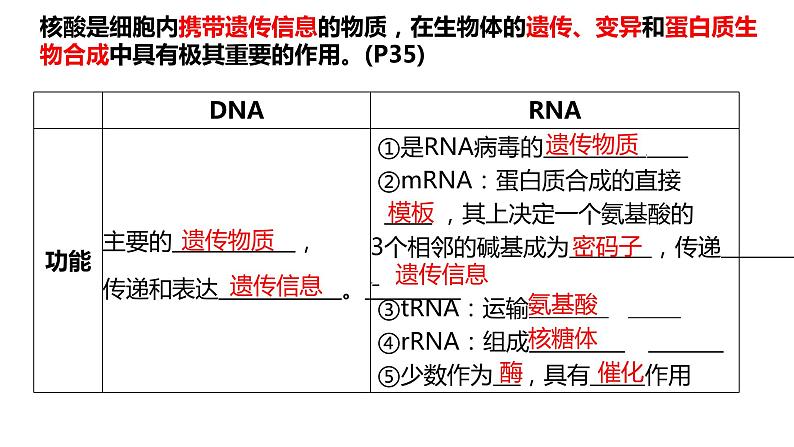 2023届高三生物复习课件 核酸是遗传信息的携带者第8页