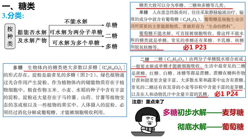 2023届高三生物复习课件 糖类和脂质的种类和作用第4页