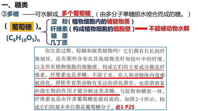 2023届高三生物复习课件 糖类和脂质的种类和作用第5页