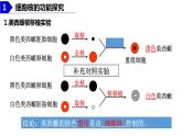 2023届高三生物复习课件：细胞核的结构和功能