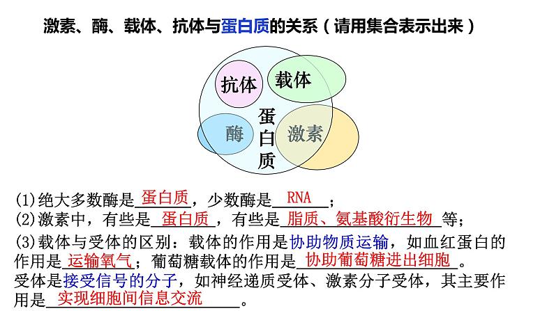 2023届高三生物复习课件蛋白质是生命活动的主要承担者第7页