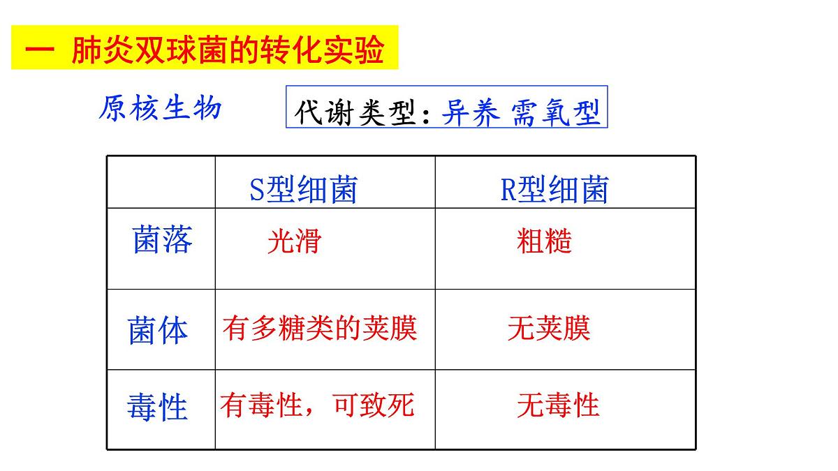 2023届高三生物复习课件基因的本质第2页