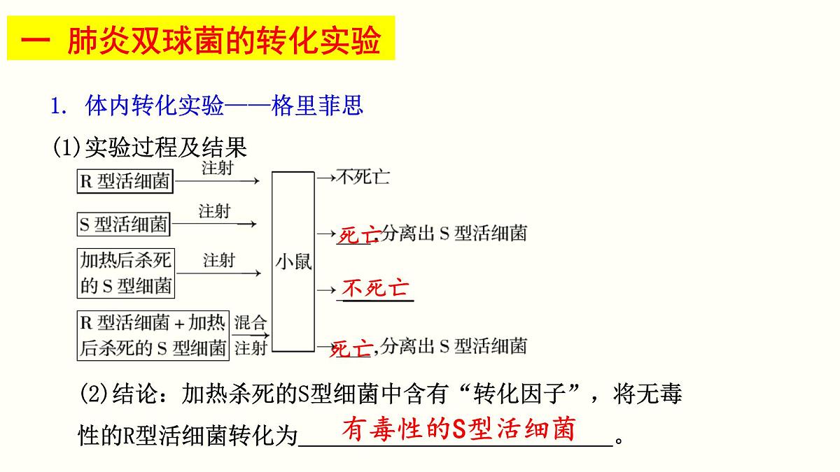 2023届高三生物复习课件基因的本质第3页