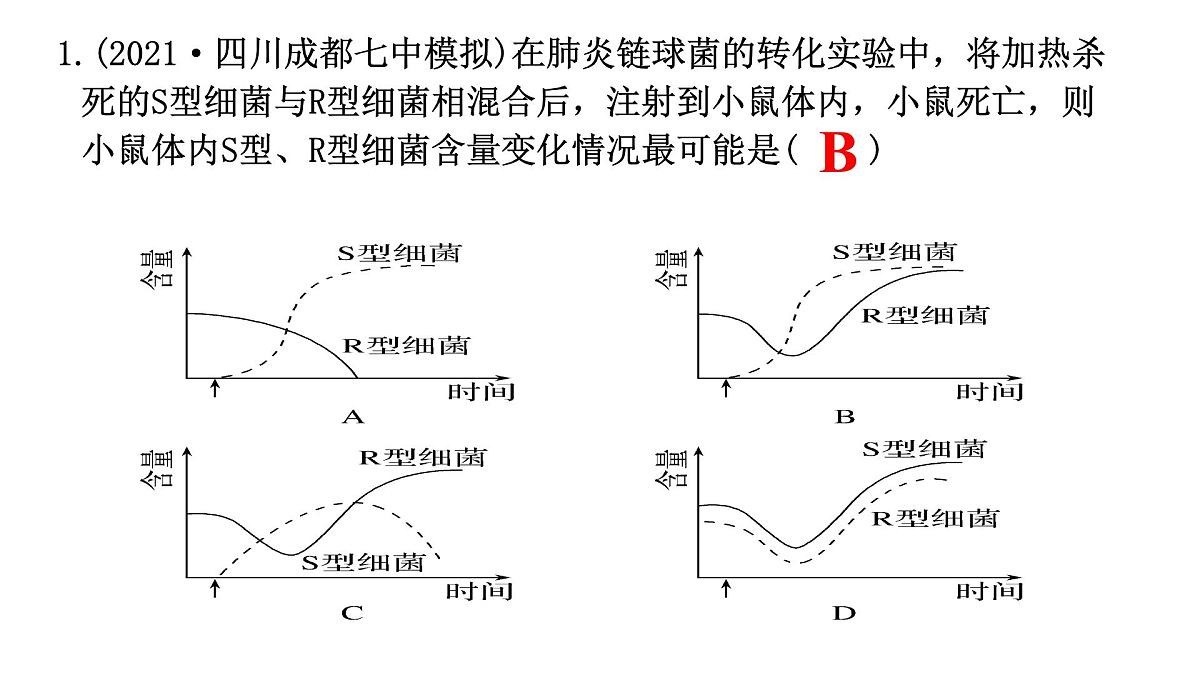2023届高三生物复习课件基因的本质第6页